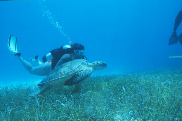 scottie and turtle.jpg