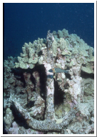 Encrusted Anchor.jpg