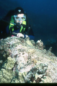 scottie and scorpionfish.jpg