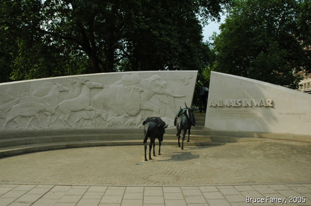 dsc_0133.jpg