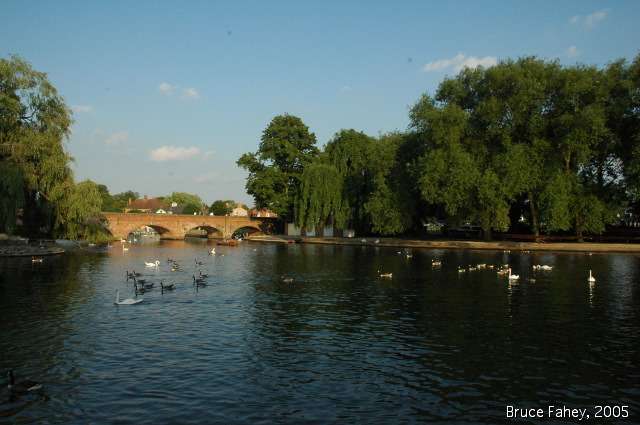 dsc_0281.jpg