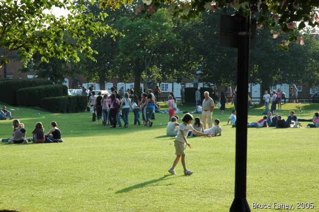 dsc_0287.jpg